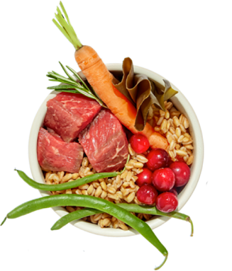 A dog bowl filled with various fresh meats, fruits, veggies, and grains