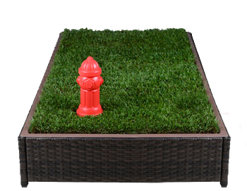 outback jack cat enclosure